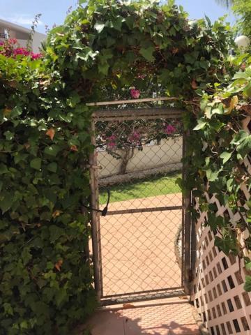 Appartamento South Facing Casa Bonnie Playa Flamenca Esterno foto