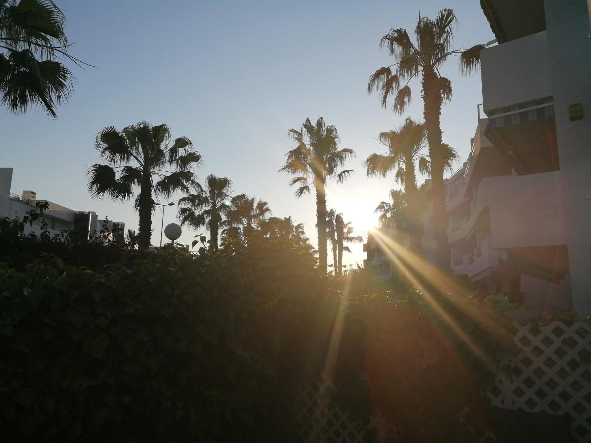 Appartamento South Facing Casa Bonnie Playa Flamenca Esterno foto